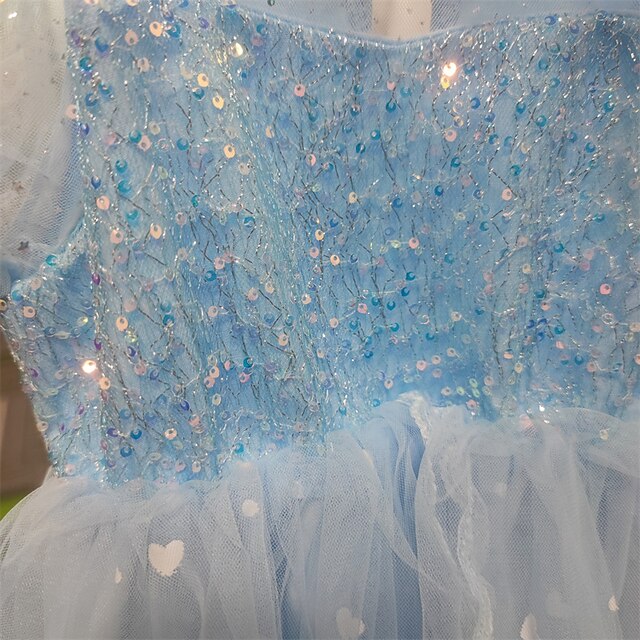 Princess Girl Elsa Frozen Dress Cosplay Cloak Flower