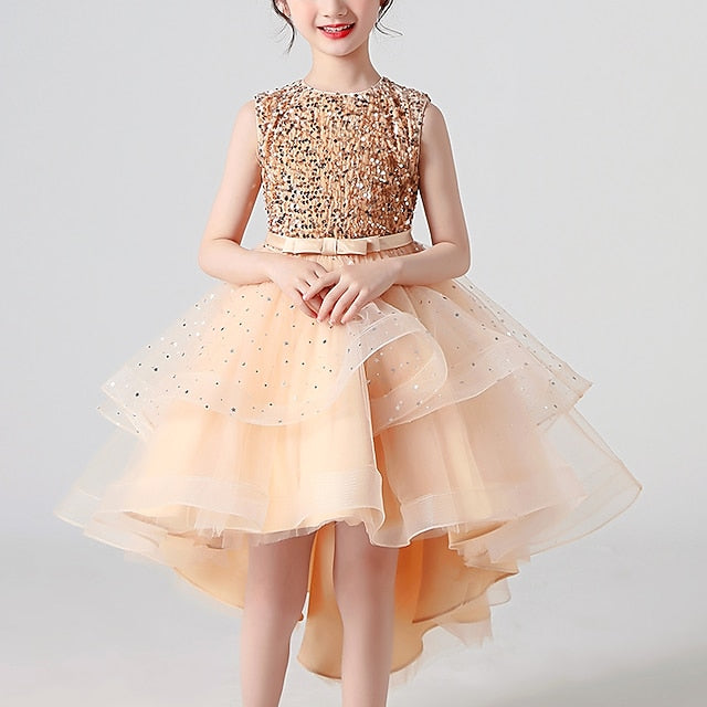 Flower Princess Girl Girls' Party Dress