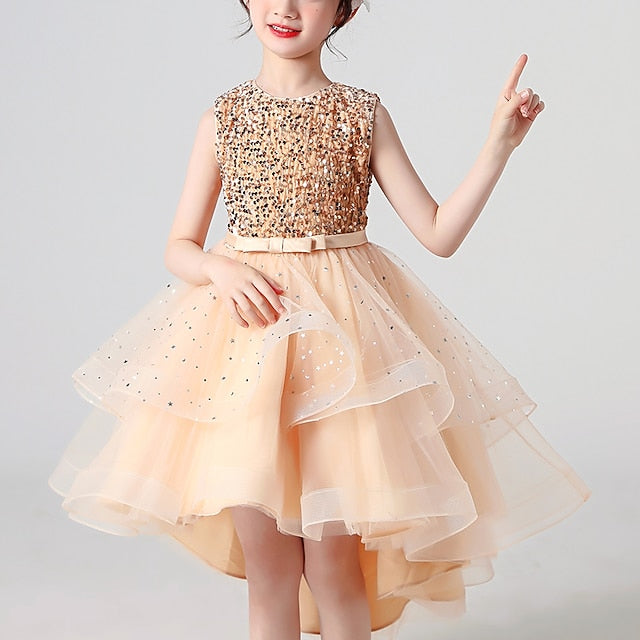 Flower Princess Girl Girls' Party Dress