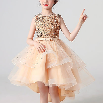 Flower Princess Girl Girls' Party Dress