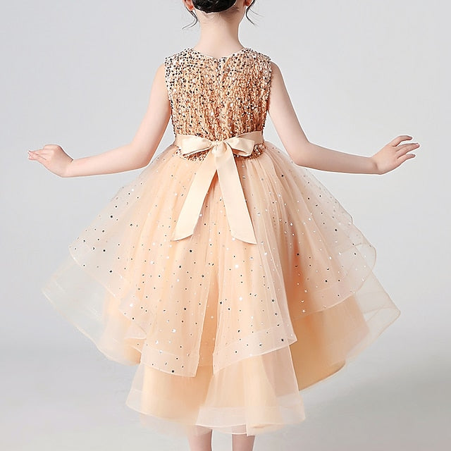 Flower Princess Girl Girls' Party Dress