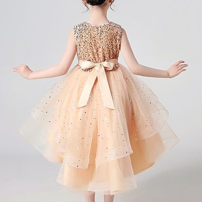 Flower Princess Girl Girls' Party Dress