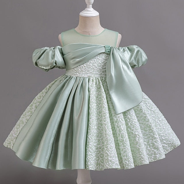 Girl Dress Flower Wedding Formal Girls' Party