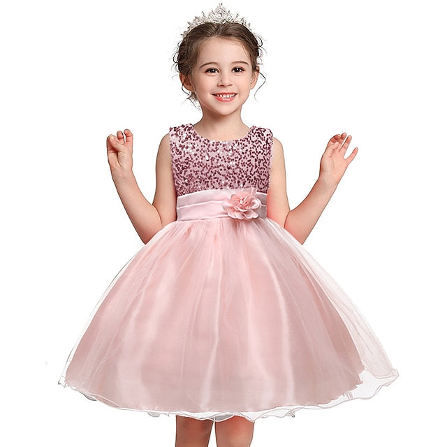 Flower Party Girl Girls' Dress Wedding