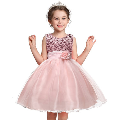 Flower Party Girl Girls' Dress Wedding