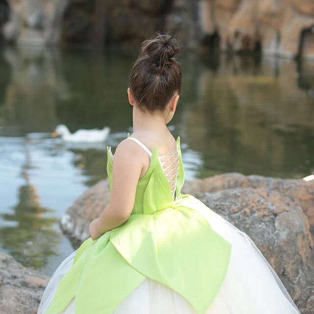 Theme Fairytale Dress Tinker Bell Girl Flower Tiana Princess