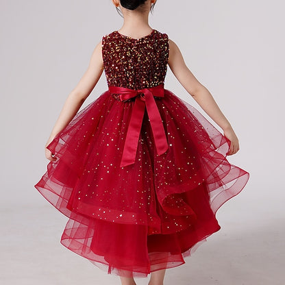 Flower Princess Girl Girls' Party Dress