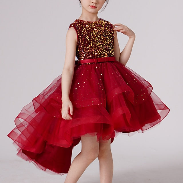 Flower Princess Girl Girls' Party Dress