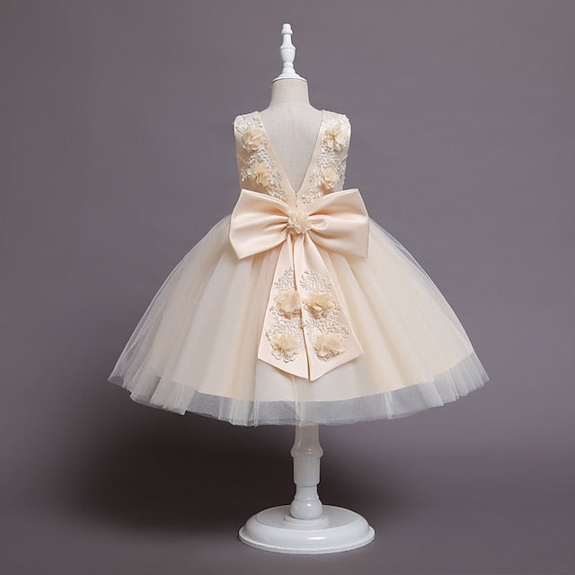 Party Girl Girls' Dress Flower Wedding