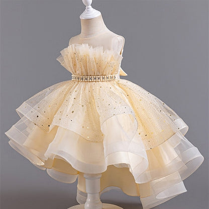 Kid's Girls' Princess Flower Girl Dress