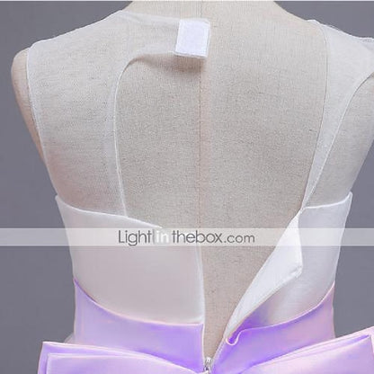 Formal Girls' Dress Flower Girl Lace