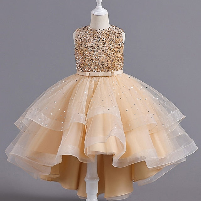 Performance Girl Flower Girls' Party Dress