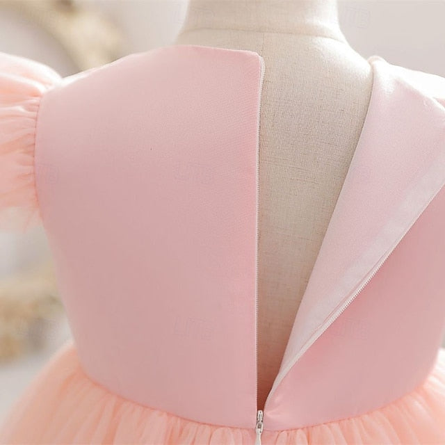 Girl Princess Kid's Dress Flower Girls'