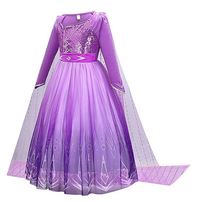 Fairytale Party Theme Girl Dress Flower Anna Princess Frozen