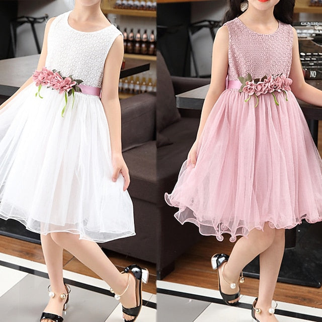 Dress Girls' Flower Girl Party Performance