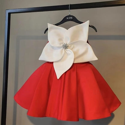 Princess Girl Girls' Dress Flower Kid's