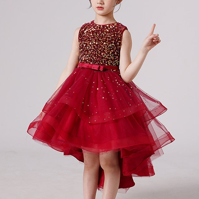 Flower Princess Girl Girls' Party Dress