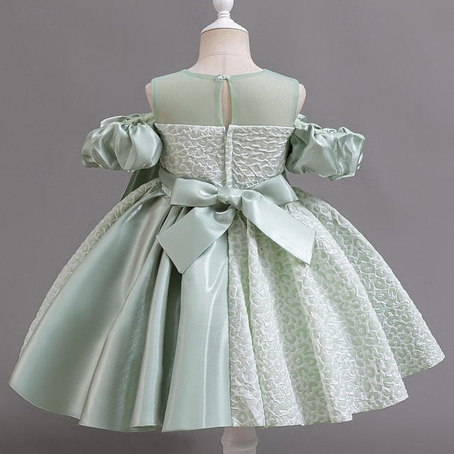 Girl Dress Flower Wedding Formal Girls' Party