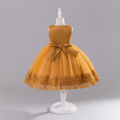 Kid's Girls' Princess Flower Dress Girl