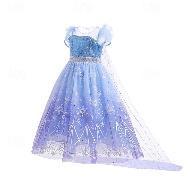Frozen Princess Girl Elsa Fairytale Flower Party Dress Theme