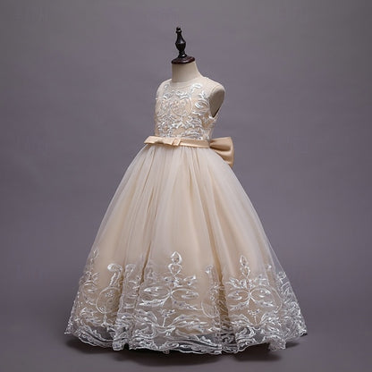 Princess Girl Kid's Dress Flower Girls'