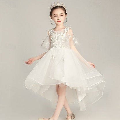 Flower Girl Girls' Princess Kid's Dress