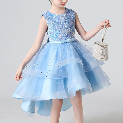 Flower Princess Girl Girls' Party Dress