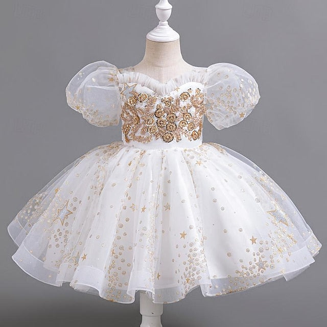 Flower Party Floral Girl Girls' Dress Kids Sequin