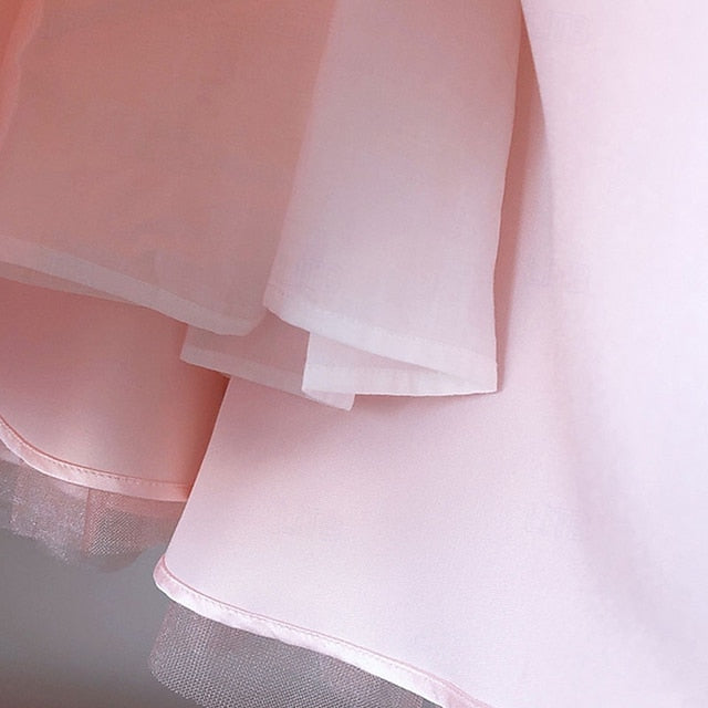 Girl Princess Flower Kid's Girls' Dress