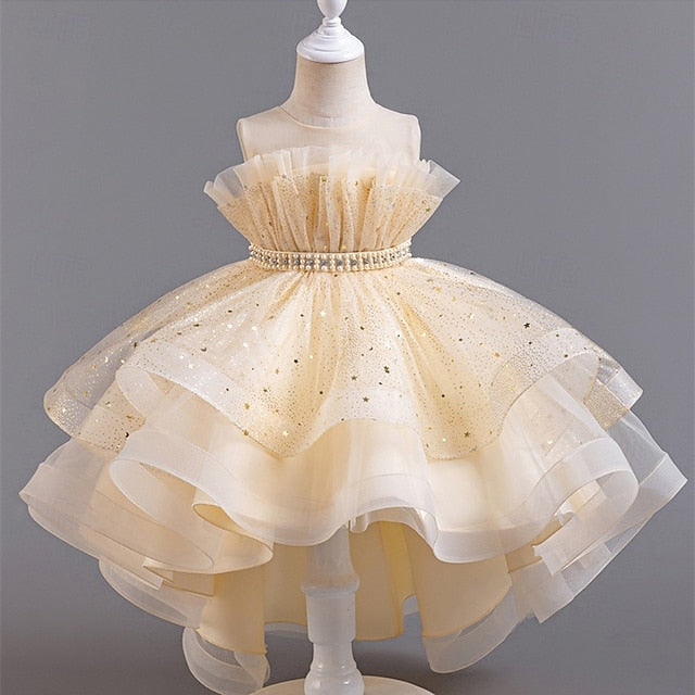 Kid's Girls' Princess Flower Girl Dress
