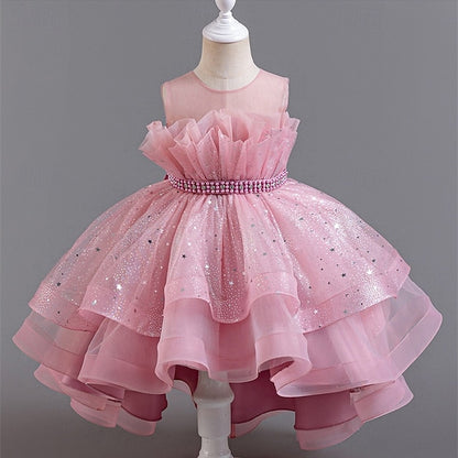 Kid's Girls' Princess Flower Girl Dress