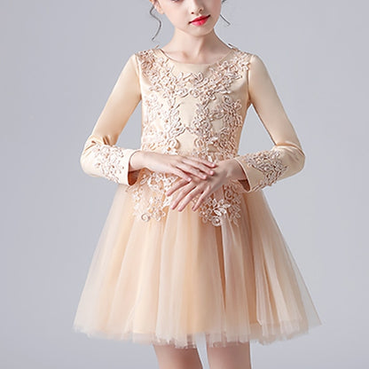 Girls' Party Princess Dress Flower Girl