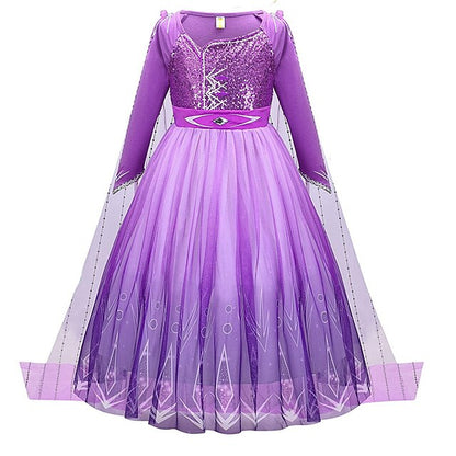 Fairytale Party Theme Girl Dress Flower Anna Princess Frozen