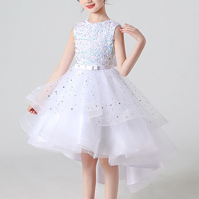 Flower Princess Girl Girls' Party Dress