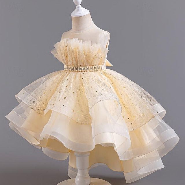 Party Kids Girl Sleeveless Flower Sequin Girls' Dress