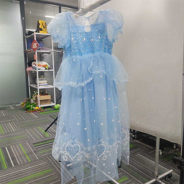 Princess Girl Elsa Frozen Dress Cosplay Cloak Flower