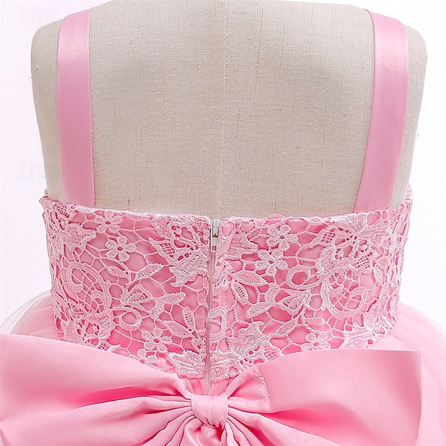 Girl Girls' Kid's Flower Princess Dress