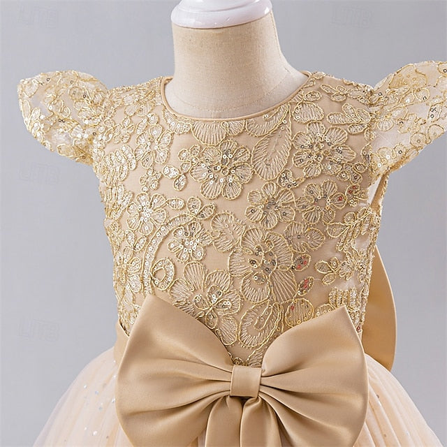 Dress Princess Kid's Girl Flower Girls'
