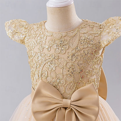 Dress Princess Kid's Girl Flower Girls'