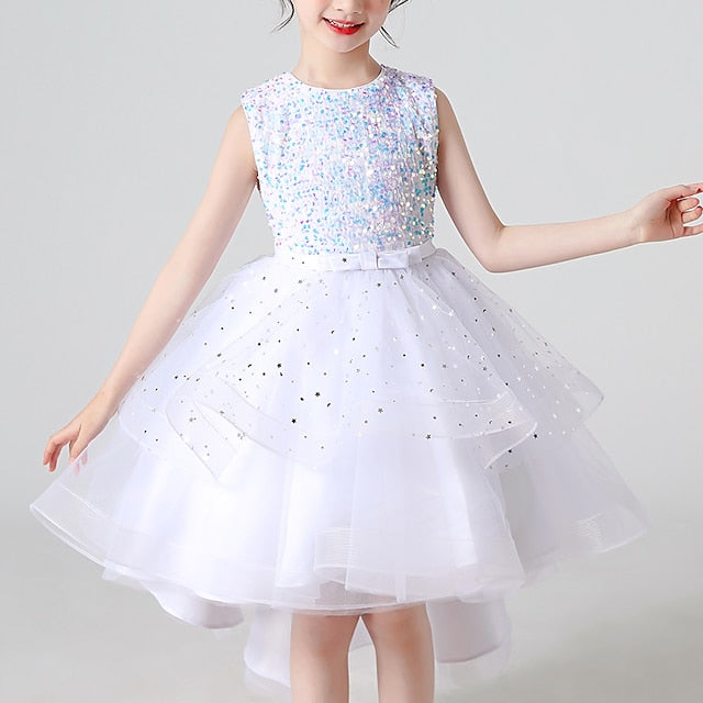 Flower Princess Girl Girls' Party Dress