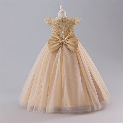 Dress Princess Kid's Girl Flower Girls'