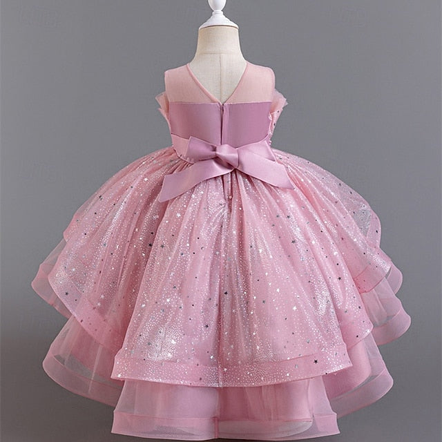 Kid's Girls' Princess Flower Girl Dress