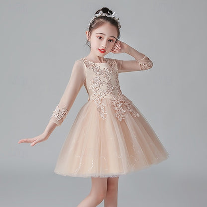 Dress Princess Kid's Flower Girl Girls'
