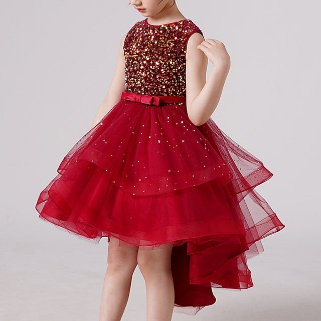 Flower Princess Girl Girls' Party Dress