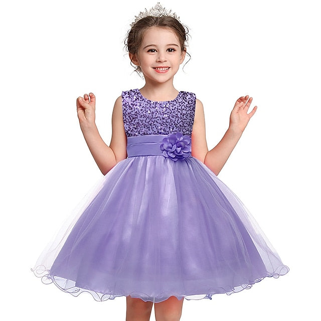 Flower Party Girl Girls' Dress Wedding