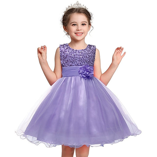 Flower Party Girl Girls' Dress Wedding