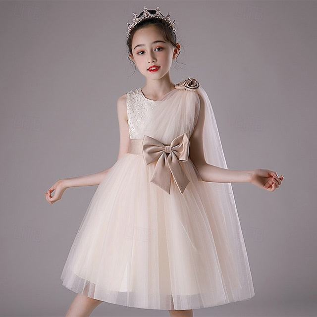 Flower Girl Kid's Girls' Princess Dress