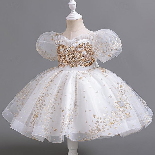 Flower Party Floral Girl Girls' Dress Kids Sequin