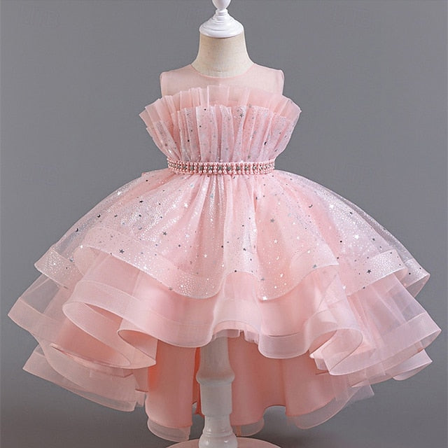Kid's Girls' Princess Flower Girl Dress