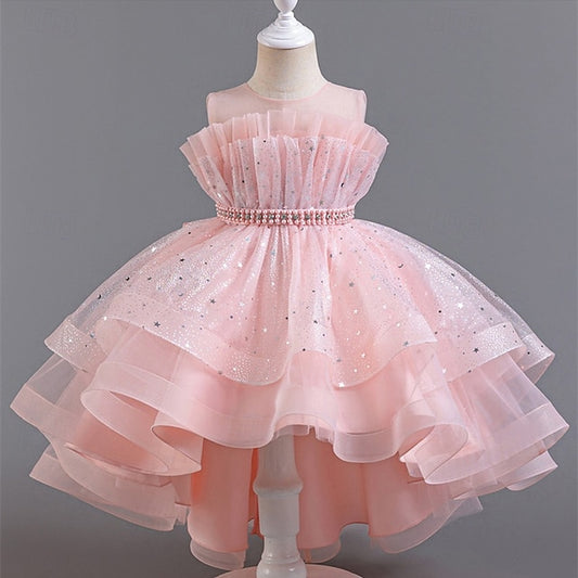 Kid's Girls' Princess Flower Girl Dress